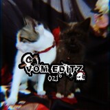 VomEditz.021