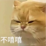 buxixiyingshi