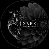 sbar11