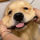 wodexiaohaokev