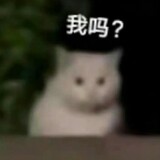 shenmobaiqwq