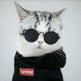 NiceNive