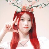 lingzhaishaosong-