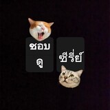 ชอบดูชีรี่ย์