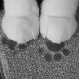 yurenyurenyuzaisanbu