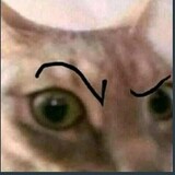 saya_wibu_sejati_btw