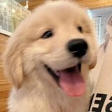 pizyy_