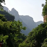 aizhidandewuticai