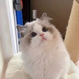 sandiliu