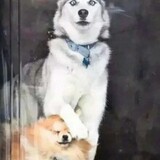 pvrtynxtweeknd_03_04