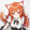 moao___