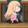 shushuchaohuitouchi