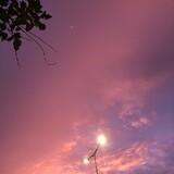 trang_2844