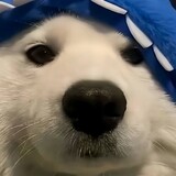 mimangdexingchen