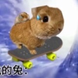 ______yucaosi