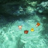 yy_xinxin