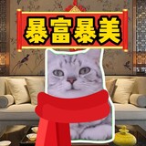tomoze_02_02_01