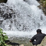 Suman_