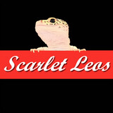 scarletpachongshou