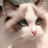 akirime_02