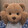 xinzhizhux-