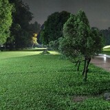 Md Adil_5977_0028