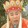 yuanxiaomanqq