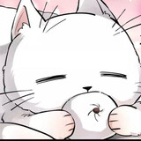 xiaolizirishiji