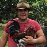 RamIL DambuhalangPaa