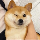 meiロールケーキ_02