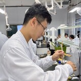 yixuehufuxiaohuang