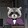 BoredRacoon