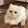 wuyudezhu-