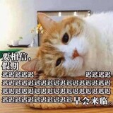 wangzimeishaonian