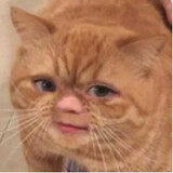 asfkjdh