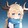 amujieshuomc