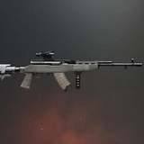DMR.Specialist