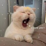 xxm_xiaoxiong___