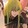 ryougi__mana