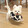 puppyplanet