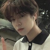 zhipirenyingshi