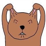 dudududu1