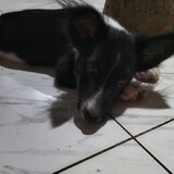 Chomphunuch Thipawat