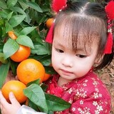 guoranyouyouya