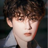 wuyaketangmanhua