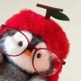 niubabazhuiju