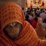 Niki Yadav_3534