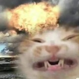 637-_