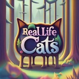 Real LifeCats