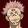 Anime-Guru